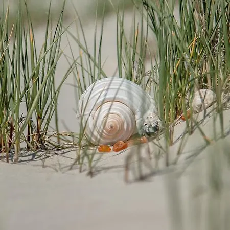 Bilbao Διαμέρισμα