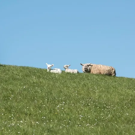 Bilbao Lägenhet Böhl