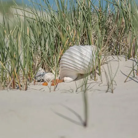 Bilbao Διαμέρισμα Sankt Peter-Ording