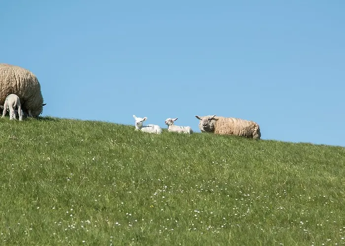 Bilbao Apartamento Sankt Peter-Ording